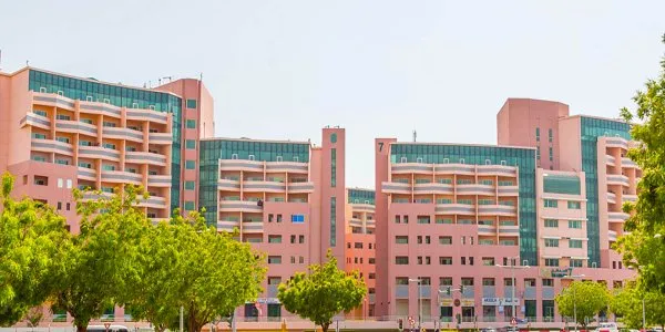 Discovery Gardens № 1