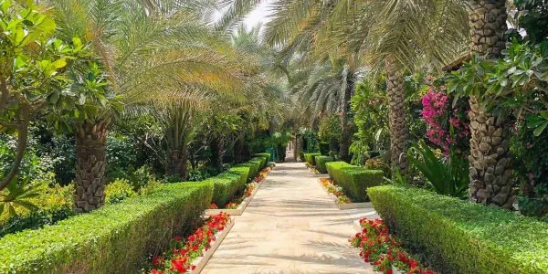 Дубай Интернейшнл Сити (Dubai International City) № 15