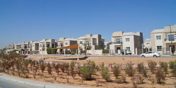 Living Legends № 5