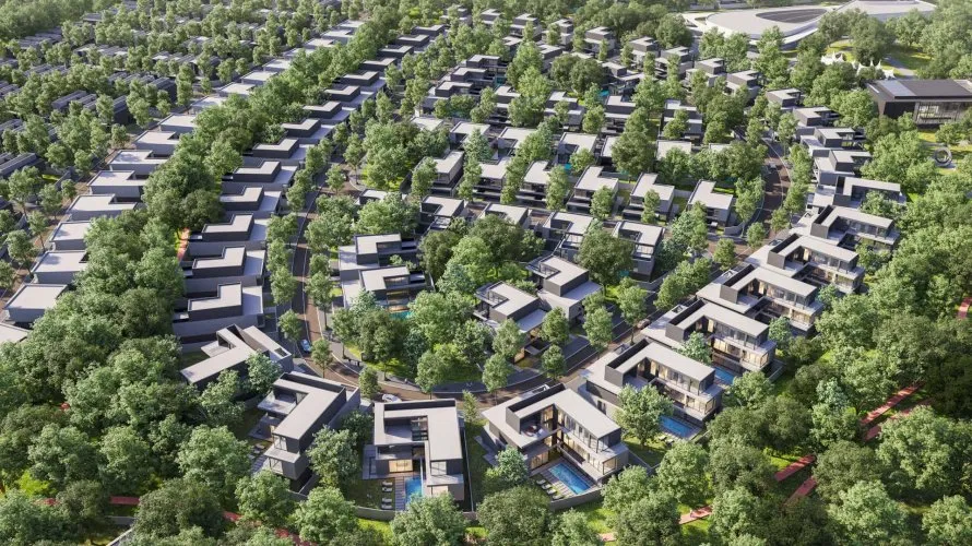 SARO AT MASAAR  No. 116 № 5